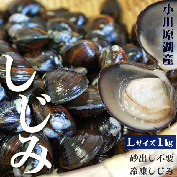 しじみ 送料無料 青森県産 【小川原湖産 冷凍しじみ Lサイズ1kg（500g×2パック）】 便利な小分けタイプ 旨みたっぷり濃厚な出汁が出る小川原湖産のしじみ貝[※冷凍便][※他商品との同梱不可]