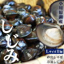 しじみ 送料無料 青森県産 【小川原湖産 冷凍しじみ Lサイズ1kg（500g×2パック）】 便利な小分けタイプ 旨みたっぷり…