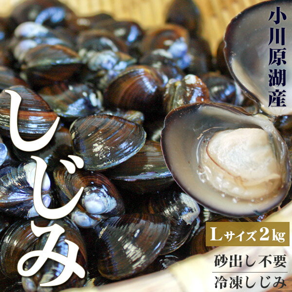 しじみ 送料無料 青森県産 【小川原湖産 冷凍しじみ Lサイ