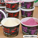 エントリーでポイント5倍 選べる【果汁 シャーベット 120ml×12個】 送料無料 りんご ぶどう お好きなタイプが選べます 弘前オリジナル シャーベット ア...