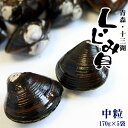 青森 十三湖 産 しじみ貝 販売 送料無料 【十三湖産冷凍しじみ 中粒170g×5P】旨みたっぷり濃厚な出汁が出る十三湖のしじみ貝♪地元でも貴重な中粒サイズ[※冷凍便][※他商品との同梱不可]