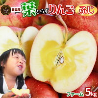 葉っぱの影は甘さのサイン【葉とらずりんご ふじ5kg ファーム】 家庭用(13-23玉) ...