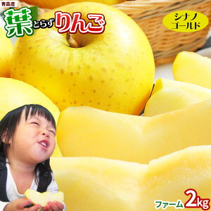 超目玉 葉っぱの影は甘さのサイン【葉とらずりんご シナノゴールド2kg ファーム】 家庭用（5-9玉） 本場青森 GOLD農園 送料無料 ゴールド農園から産直新鮮便 りんご 林檎 訳あり 青森りんご [※産地直送のため同梱不可]