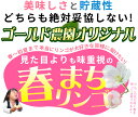 葉っぱの影は甘さのサイン 【葉とらずりんご ふじ（有袋）ファーム5kg】家庭用(13-23玉) 本場青森 GOLD農園 送料無料 ゴールド農園から産直新鮮便 りんご リンゴ 林檎 アップル 訳あり 青森りんご [※産地直送のため同梱不可]「GOLD」[冷蔵便]