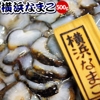 青森県横浜町産 なまこ 送料無料 【横浜なまこ500g】 ナマコ [※クール便][※他商品と同梱不可 ...