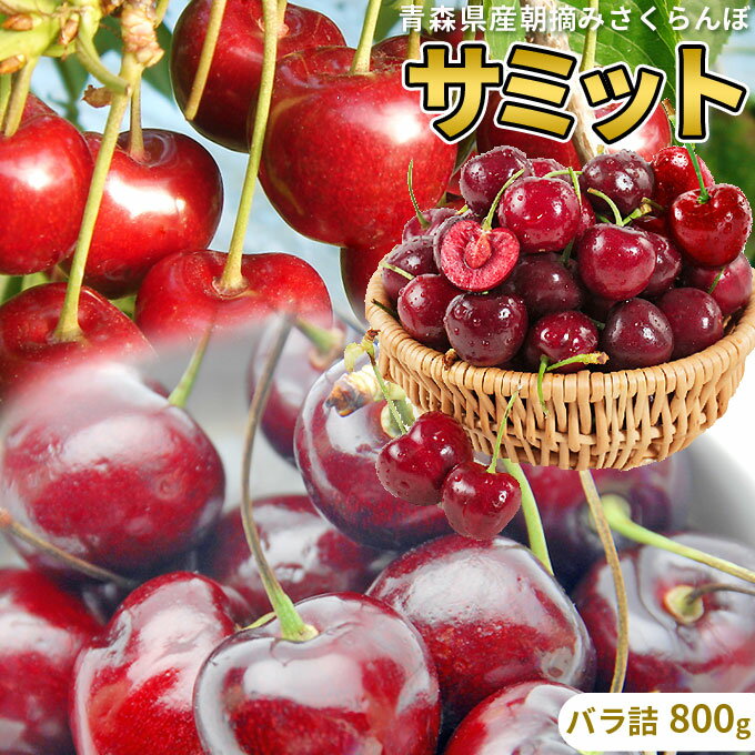 エントリーでポイント5倍 さくらんぼ 送料無料 【青森県産 さくらんぼ サミット バラ詰め800g L以上】 サイズ混合 お中元 [※産地直送のため同梱不可][※冷蔵便]のサムネイル