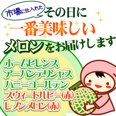 エントリーでポイント5倍 青森県産【つがりあん メロン 2玉 約2.5Kg前後】 L〜2Lサイズ 送料無料 贈答用 青森のブランド めろん を産地直送 [※同梱不可・配送指定不可]