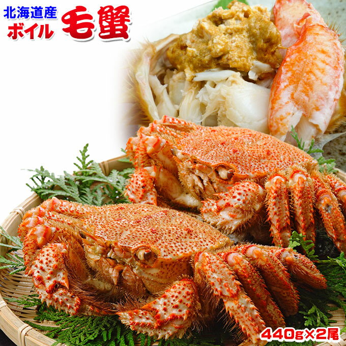 【北海道産 ボイル毛蟹 500g×2尾】 送料無料 濃厚なカニ味噌がたっぷり♪ タラバやズワイと比べて小ぶりですが、それ以上の旨味が詰まった毛蟹を北海道からお届け！[※冷凍便]