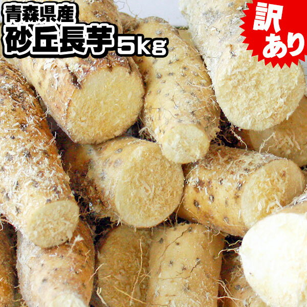 超目玉 青森産 【長芋　訳あり5kg】 山芋 長芋 送料無料 細切れで細めの長いもですが粘り、甘さは ...