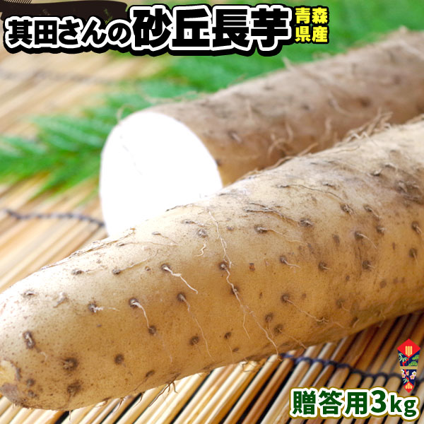 青森県産 砂丘長いも 贈答用 秀品 送料無料 【長芋贈答用3kg】3－6本 山芋 とろろ 長芋 長いも ながいも [※産地直送同梱不可]