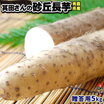 青森県産 砂丘長いも 贈答用 秀品 送料無料 【長芋贈答用5kg】 山芋 とろろ 長芋 長いも ながいも [※産地直送同梱不可]