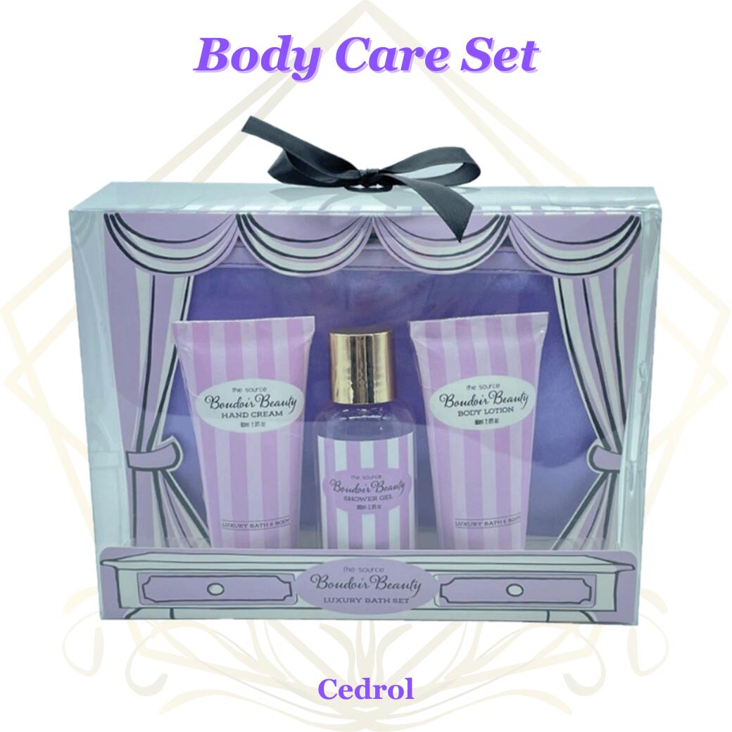 ܥǥ ե ֥ɥӥ塼ƥ ѡץ ɥι 4å  ܥǥ꡼ ϥɥ꡼ ᥤݡ եȥå ...