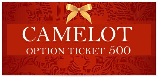 ★オプションチケット 500