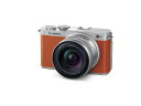 【7/19~26限定!最大4,000円OFF&7/25限定で最大P3倍】【中古】パナソニック(Panasonic) フルサイズ ミラーレス一眼カメラ ルミックス DC-S9N-D 広角ズームレンズキット キャメルオレンジ