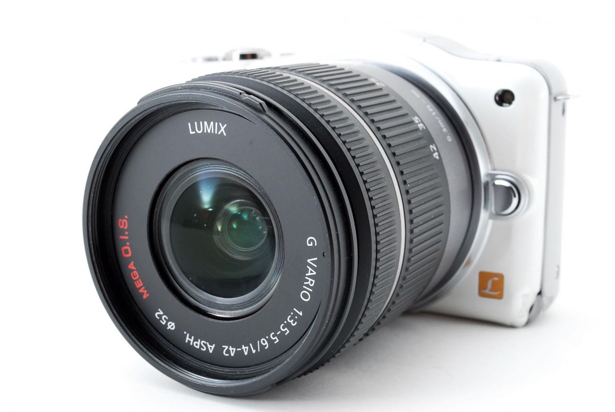 šۥѥʥ˥å Panasonic Lumix DMC-GF3 ۥ磻 󥺥å  SD ȥåդ