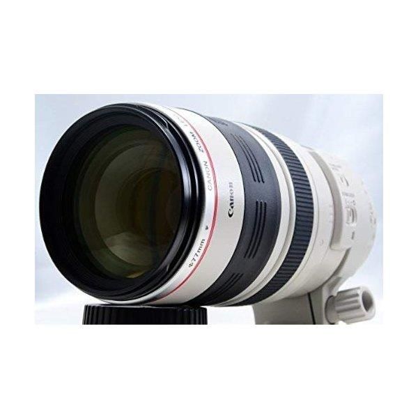 楽天市場】canon 望遠ズームレンズ ef100-400mm f4.5-5.6l(撮影 楽天市場】canon 望遠ズームレンズ ef100-400mm f4.5-5.6l(撮影