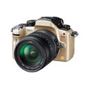 【中古】パナソニック Panasonic GH1 レンズキットコンフォートゴールド DMC-GH1K-N SDカード付き