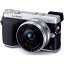 šۥѥʥ˥å Panasonic GX7 󥺥å ñ° С DMC-GX7C-S SDդ