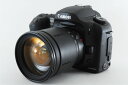 【中古】キヤノン Canon EOS 10D 高倍率レンズセット 美品 ストラップ付き