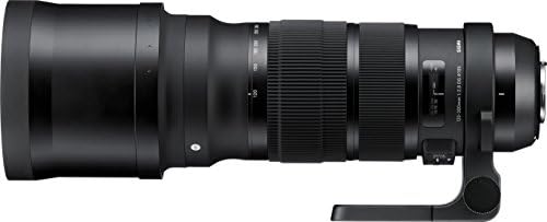 楽天市場】シグマ レンズフード 120-300mm f2.8 dg os hsm用 楽天市場】シグマ レンズフード 120-300mm f2.8 dg os hsm用