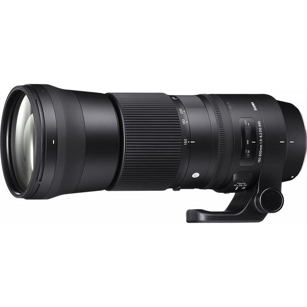 šۥ SIGMA 150-600mm F5-6.3 DG OS HSM | Contemporary C015 | ˥ Nikon F-FXޥ | Full-Size/Large-Formatm