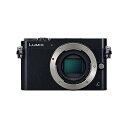 【中古】パナソニック Panasonic GM5 ボディ ブラック DMC-GM5-K SDカード付き