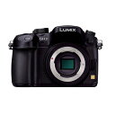 【中古】パナソニック Panasonic GH3 ボディ 1605万画素 ブラック SDカード付き(2)