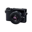 【中古】パナソニック Panasonic GM5 レンズキット ブラック DMC-GM5K-K SDカード付き