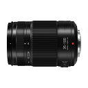 Panasonic LUMIX G X VARIO 35-100mm / F2.8 II / POWER O.I.S.