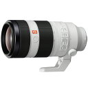 新品 SONY ソニー 望遠ズームレンズ SONY FE 100-400mm F4.5-5.6 GM OSS SEL100400GM ミラーレス一眼カメラ用