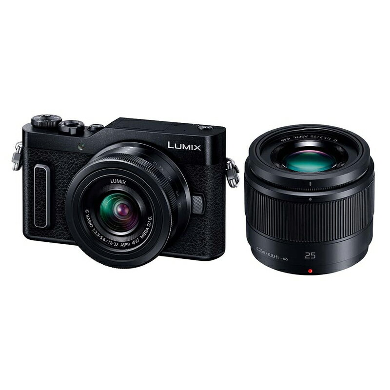 Panasonic パナソニック LUMIX GF10 ダブルレンズキット ブラック 新規購入 DC-GF10W-K ミラーレス一眼カメラ
