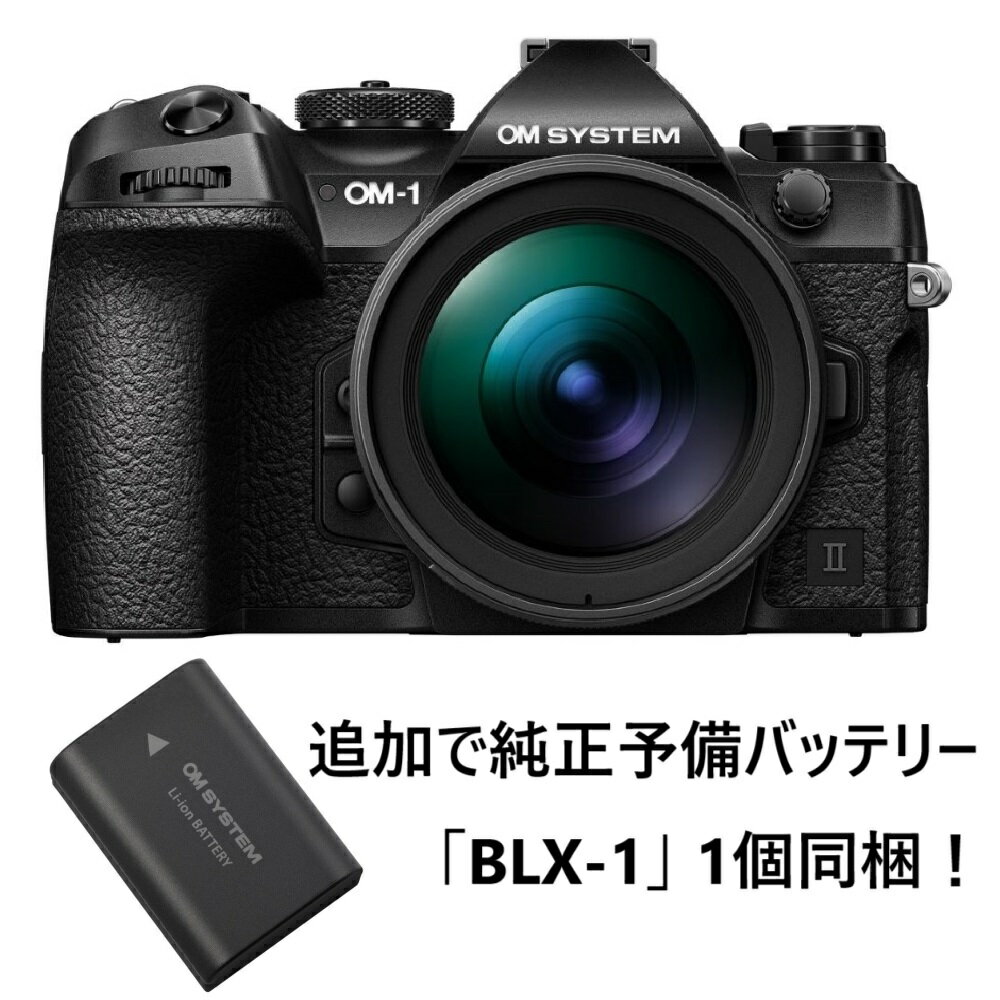 楽天市場】【お取り寄せ商品】OM SYSTEM OM-1 MarkIIボディ