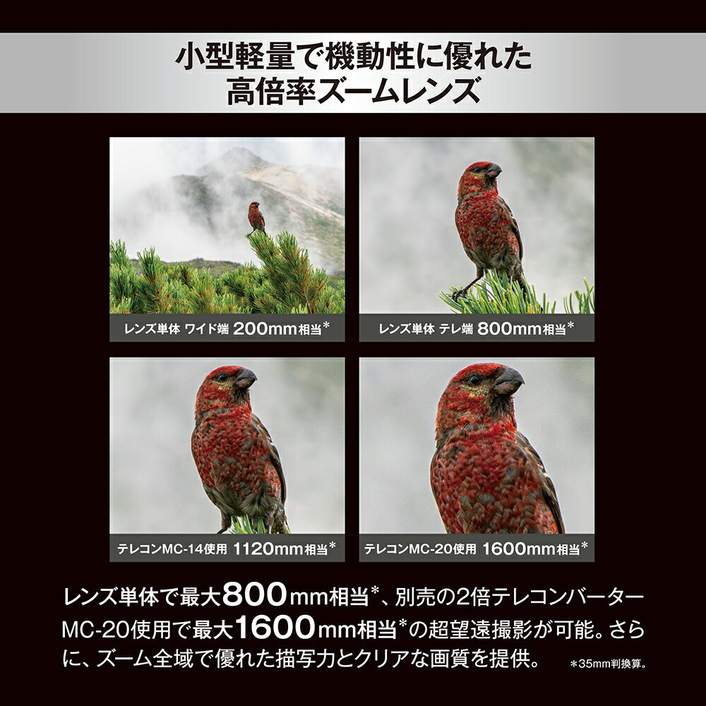 HOZAN ホーザン レンズ L-802用 L-802-2(代引不可)【送料無料】