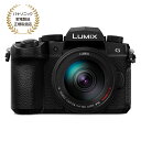 【エントリーでP10倍●2/19 20:00-2/23 1:59】Panasonic パナソニック LUMIX G99M2 レンズキット ブラック (DC-G99M2H)