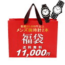 福袋 2025 総額30,000円相当 メンズ腕時計2本セット 数量限定 送料無料 ウォッチ ランキング ブランド