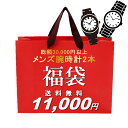 福袋 2024 総額30,000円相当 メンズ腕時計2本セット 数量限定 送料無料 ウォッチ ランキング ブランド