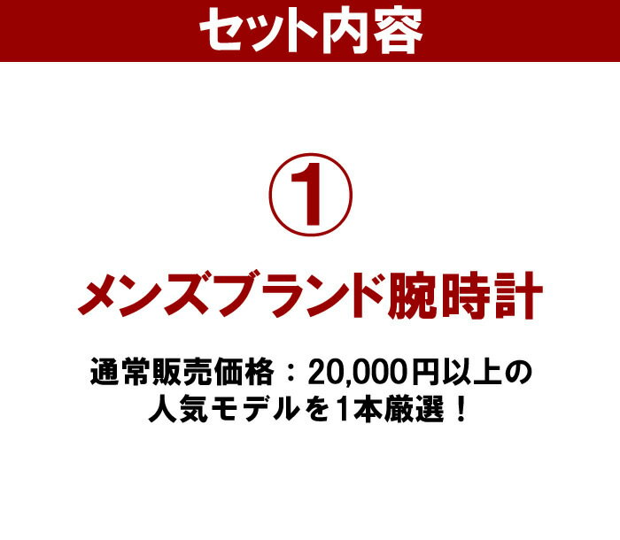 福袋 2019 限定クロノグラフが必ず入る メンズ腕時計2本セット 数量限定 送料無料 10,000円 ウォッチ ランキング ブランド