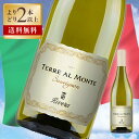 ワイン よりどり 2本 リヴェラ / テッレ アル モンテ ソーヴィニョン カステル デル モンテ 2023 度数 12.5% 750ml 白ワイン ミディアム...