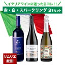 イタリアワイン ワインセット 赤 白 スパークリング ワイン 750ml × 3本 セット 赤ワイン フロレジア ヴィオラ キアンティ / 白ワイン ダ マッジオ シャルドネ フォルリ / スパークリングワイン スプマンテ 泡 フラテッリ コスモ プロセッコ エクストラ ドライ 辛口 お酒