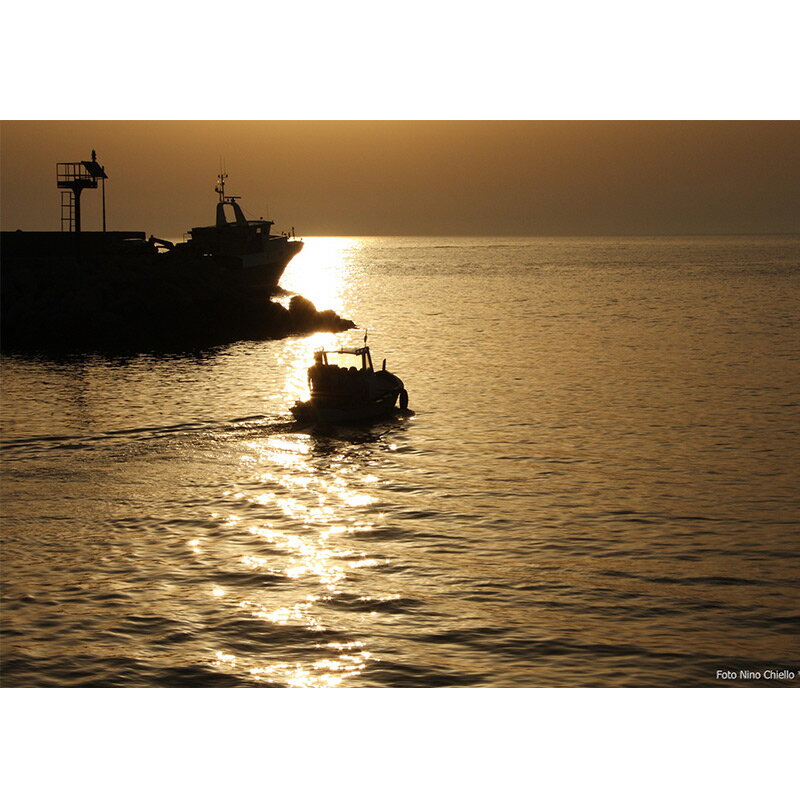 �� ���������� �� �������ӥե��� �� ���꡼�֥������Ҥ� �������� �ե��� ���Ҥ� �������Ҥ� Ĵ̣�� �ӵͤ� �����������亮 ���꡼�֥����� ��� ���� �С��˥㥫���� ���ѥ��åƥ� ���ѥ��ƥ� �ѥ��� �Ѥ��� �����ꥢ ���� ���� ���� �����