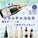 夏のうたかた フランチャコルタ 誰もがトリコな7月のワインセット【送料無料・26%OFF】 /750ml×7本セット イタリアワイン 赤ワイン 白ワイン スパークリングワイン ワインセット 赤白セット 辛口 フルボディ フランチャコルタ スプマンテ チロ・ビアンコ ソアーヴェ