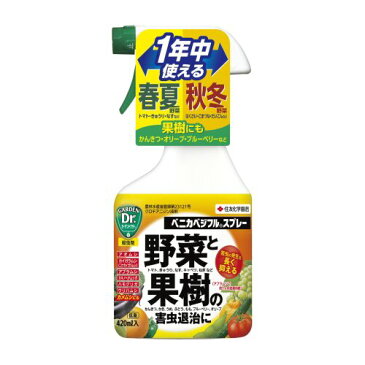 住友化学園芸 ベニカベジフルスプレー 420ml 草花 観葉 野菜 果樹 害虫 アブラムシ 殺虫 【北海道・沖縄・離島配送不可】