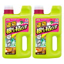 アースガーデン アース草消滅 2L×2本 農薬 農耕地用 除草剤