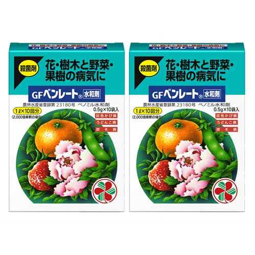 商品名 GFベンレート水和剤 容量 (0.5g×10)×2個 有効成分 ベノミル 性状 類白色水和性粉末45μm以下 剤型 水和剤 登録番号 農林水産省登録・第23180号 販売元 住友化学園芸株式会社 シュリンクフィルム内装。 ●商品特長 ◆予防効果と治療効果を兼ね備えています。（成分が葉の中に浸透するため病原菌が植物体に入るのを防ぎ、すでに侵入した病原菌も退治します。） ◆うどんこ病・灰色かび病・菌核病など広範囲のかび性の病気に効果があります。 ◆ばらの黒星病、うどんこ病に優れた効果があります。浸透移行作用により病原菌の侵入を防ぐ予防効果と、侵入した病原菌を退治する治療効果を兼ね備え、病原菌の細胞分裂を阻害して防除します。特に黒星病には早春の萌芽前から散布することで防除効果が高まります。 ●適用薬剤と使用方法 使用方法：水でうすめて散布 ※印は収穫物への残留回避のため、本剤及びベノミルを含む農薬の総使用回数の制限を示します。 ◆2018年8月8日付：カリフラワー、トルコギキョウ、やまのいもの追加。ピーマン、いちご、たまねぎの変更。 ●使用上の注意 【効果・薬害などの注意】 ◆きゅうり、トマトに対して灌注処理する場合は、誤って高濃度で処理すると退色や生育抑制などの薬害を生ずることがありますので、所定濃度を守ってください。 ◆たまねぎ、いちごに対して苗根部浸漬処理する場合は、誤って高濃度で処理すると、いちごでは活着不良、たまねぎでは初期生育遅延等の薬害のおそれがありますので使用方法を厳守してください。 ◆なすの半身萎ちょう病に対して灌注処理する場合、定植前及び定植時処理では葉の黄化・生育抑制等の薬害を生ずるおそれがありますので定植後に処理してください。 ◆りんごのモニリア病に使用する場合、多発条件下では効果が劣ることがありますので、発病初期に時期を失しないように散布してください。 ◆いちごの萎黄病防除に使用する場合、特に多発地では植付前の土壌くん蒸と本剤処理とを組み合わせるとより有効です。 ◆なしの枝枯病、胴枯病に使用する場合は、マシン油乳剤で希釈し、病斑部及びその周辺に1〜2回塗布してください。尚、病斑部を削り取った後に塗布する場合は木質部が見えない程度に表皮を薄く削ってください。 ◆本剤及び同系統の薬剤の連続使用によって薬剤耐性菌が出現し、効果の劣った例がありますので過度の連用はさけ、なるべく作用性の異なる薬剤を組み合わせて使用してください。 ◆本剤はエトフェンプロックス乳剤またはダイアジノン乳剤と混用した場合、凝固物を生成するため混用を避けてください。 ◆こんにゃくの乾腐病防除に使用する場合は、種芋の芽基部を上に向けて並べ、散布液が芽基部に十分かかるように1平方メートル当り100ml散布してください。 ◆麦類の雪腐病防除に使用する場合、散布は根雪近くに行ってください。 ◆桑の胴枯病に使用する場合の散布適期は9月上・中旬です。 ◆水耕栽培でトルコギキョウを栽培する場合には、廃液は環境中に流出しないように適切に処理してください。 ◆適用作物群に属する作物またはその新品種に本剤を初めて使用する場合は、使用者の責任において事前に薬害の有無を十分確認してから使用してください。なお、普及指導センター、病害虫防除所または販売店等と相談することが望ましいです。 【安全使用上の注意】 マスク着用、手袋着用 ◆使用量に合わせ薬液を調製し、使いきってください。 ◆本剤は眼に対して弱い刺激性がありますので眼に入らないように注意してください。眼に入った場合には直ちに水洗してください。 ◆本剤は皮ふに対して弱い刺激性がありますので皮ふに付着しないように注意してください。付着した場合には直ちに石けんでよく洗い落としてください。 ◆かぶれやすい体質の人は取扱に十分注意してください。 ◆使用の際は、農薬用マスク、不浸透性手袋、長ズボン・長袖の作業衣などを着用してください。作業後は直ちに手足、顔などを石けんでよく洗い、うがいをするとともに衣服を交換してください。 ◆作業時に着用していた衣服等は他のものとは分けて洗濯してください。 ◆本剤で処理した種子等は食料や動物飼料として用いないでください。 ◆常温煙霧中はハウス内へ入らないでください。また常温煙霧終了後はハウス内を開放し、十分換気した後に入室してください。 ◆街路、公園等で使用する場合は、使用中及び使用後（少なくとも使用当日）に小児や使用に関係のない者が使用区域に立ち入らないよう縄囲いや立て札を立てるなど配慮し、人畜等に被害を及ぼさないよう注意を払ってください。 魚毒性等：水産動植物（甲殻類）に影響を及ぼす恐れがあるので、河川、養殖池等に飛散、流入しないよう注意して使用してください。使用残りの薬液が生じないように調製を行い、使いきってください。散布器具及び容器の洗浄水は河川等に流さないでください。また、空袋等は水産動植物に影響を与えないよう適切に処理してください。 【！】使用に際しては必ず商品の説明をよく読んで、記載内容に従ってお使いください。 ※パッケージは予告なく変更されることがあります。 関連商品住友化学園芸 カリグリーン 1.2g×10袋×2個 観葉 野菜 果樹 ...住友化学園芸 サンケイ オーソサイド 水和剤80 50g×2個 殺菌剤...住友化学園芸 サンボルドー ［2g×10袋］×2個 殺菌剤...1,137円997円899円