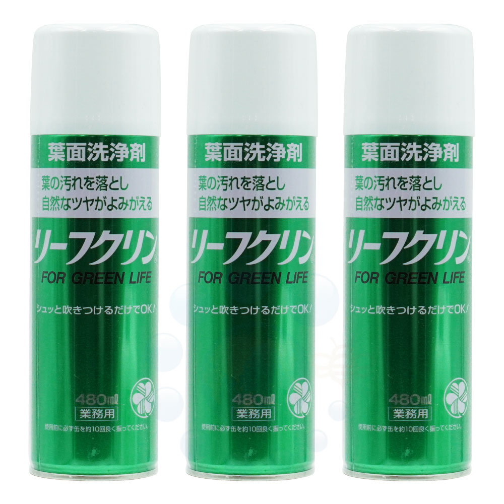 ʪ    ꡼ե̳ 480ml3  ꡼ե꡼ ͧر