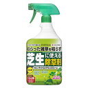 除草剤 住友化学園芸 HCCザイトロンアミンスプレー液剤 900ml