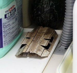 �����֥�Х�����10���å������36Ȣ �����֥�Ͷ�����դ��Υ����֥�Ǵ�奷����