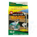 鳩よけ ハトよけ貼るだけ 3包入り 軒下 ベランダ 貼る ハトよけ 鳩 対策 ハト 対策