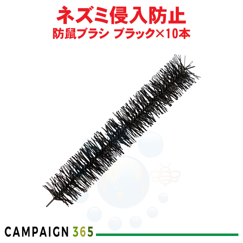 ネズミ対策用ブラシ 防鼠ブラシ ブラック×10本 防そブラシ ネズミ侵入防止 ネズミよけ 小動物