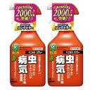 住友化学園芸 ベニカXスプレー 1000ml×2本 アブラムシ類 チュウレンジハバチ駆除 うどんこ病 白さび病 ごま色斑点病 黒星病住友対策